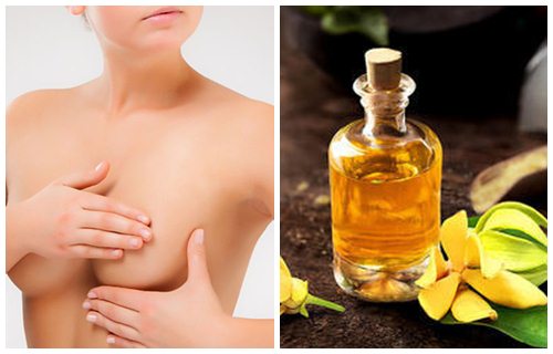 aceite ylang ylang para los senos